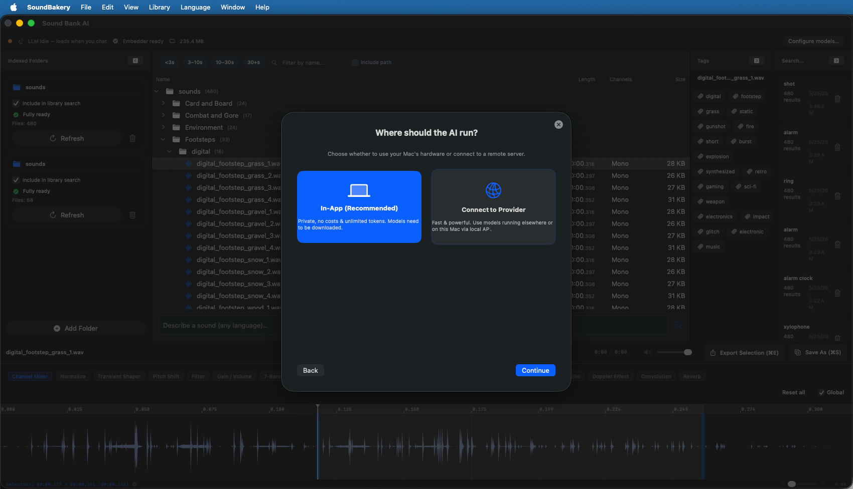 Local AI vs Remote Provider choice